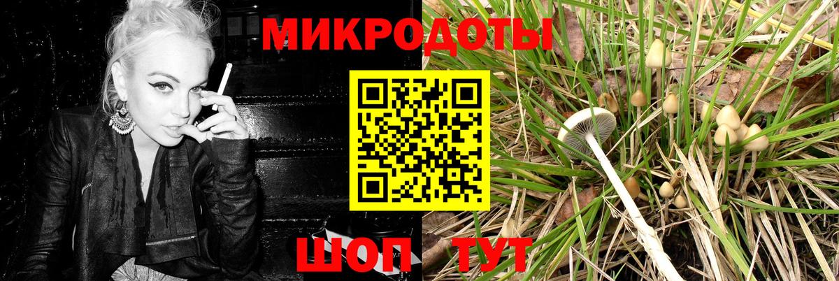 Псилоцибиновые грибы GOLDEN TEACHER  Вход с VPN  Фролово  Галлюциногенные грибы мухоморы 