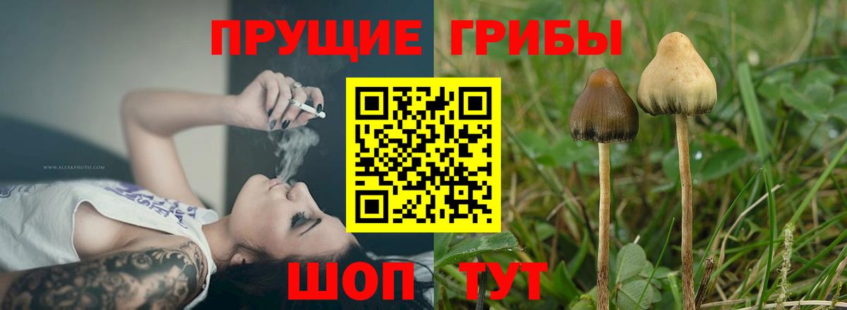 Галлюциногенные грибы MAGIC MUSHROOMS Фролово